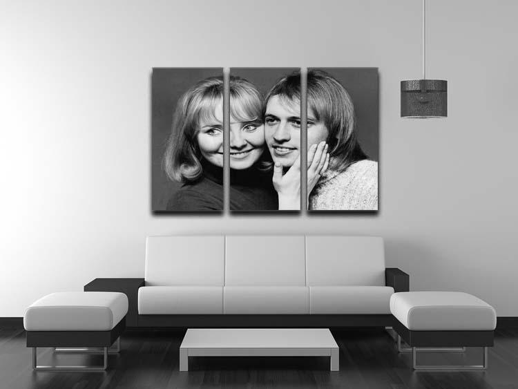 A stunning 3-panel canvas print featuring Lulu with Maurice Gibb of the Bee Gees, showcasing vibrant colors and artistic design.