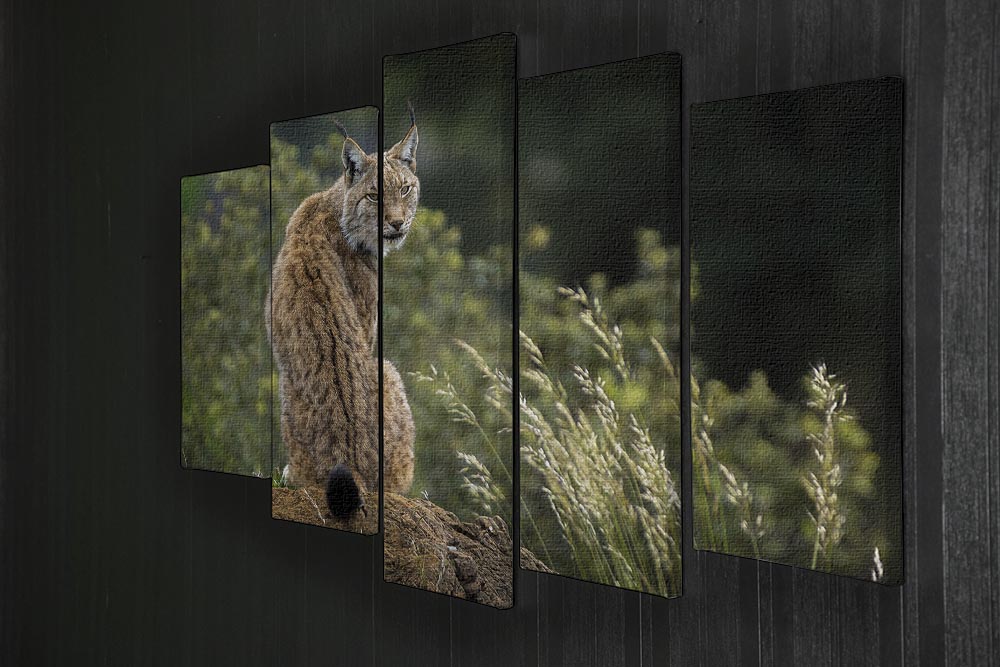 Lynx 5 Split Panel Canvas artwork featuring five panels with a cohesive design, adding depth and style to any room.