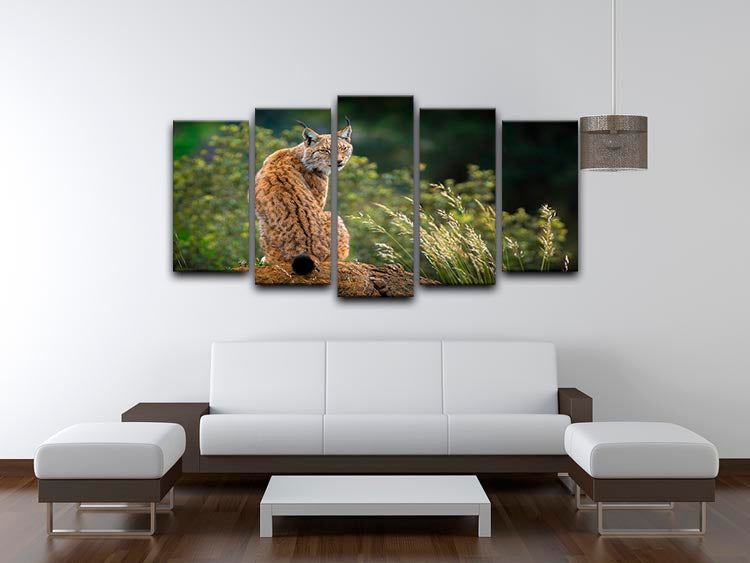 Lynx 5 Split Panel Canvas artwork featuring five panels with a cohesive design, adding depth and style to any room.