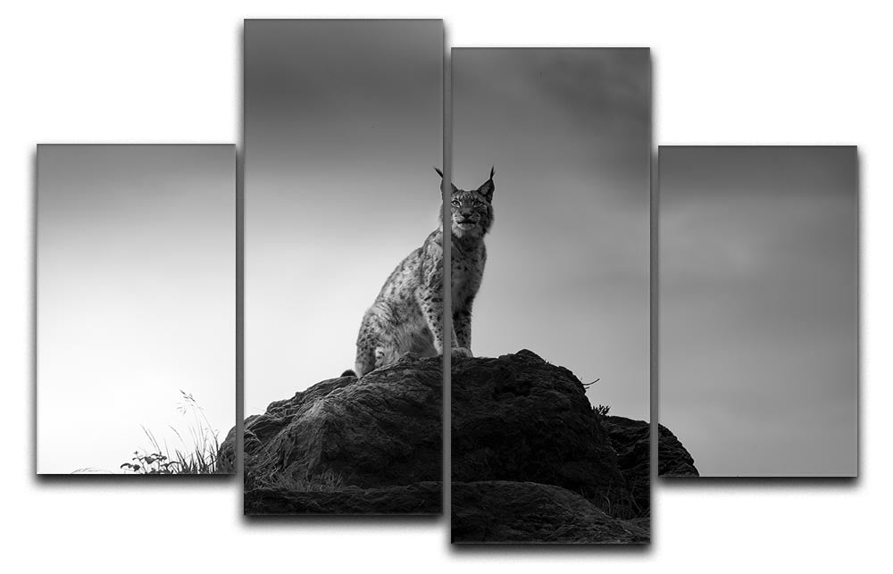 Lynx Drama 4 Split Panel Canvas featuring vibrant colors and intricate designs, arranged in a dynamic four-panel layout.