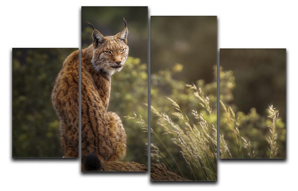 Lynx Fine Art 4 Split Panel Canvas showcasing a vibrant, multi-dimensional artwork divided into four equal sections, elegantly displayed on a wall.