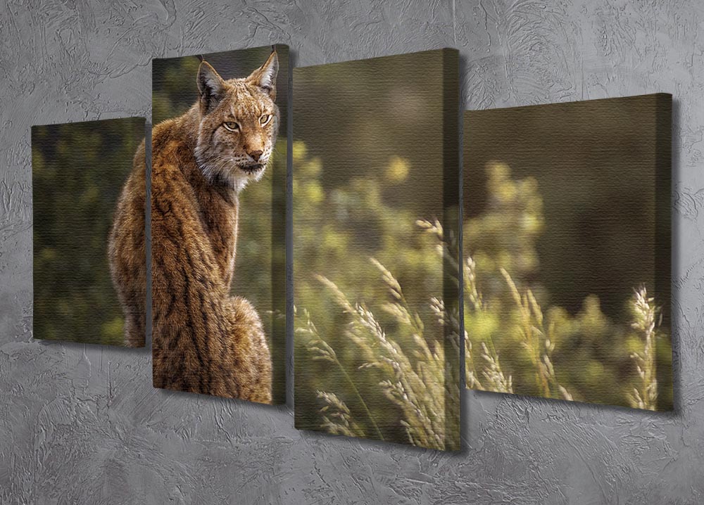 Lynx Fine Art 4 Split Panel Canvas showcasing a vibrant, multi-dimensional artwork divided into four equal sections, elegantly displayed on a wall.