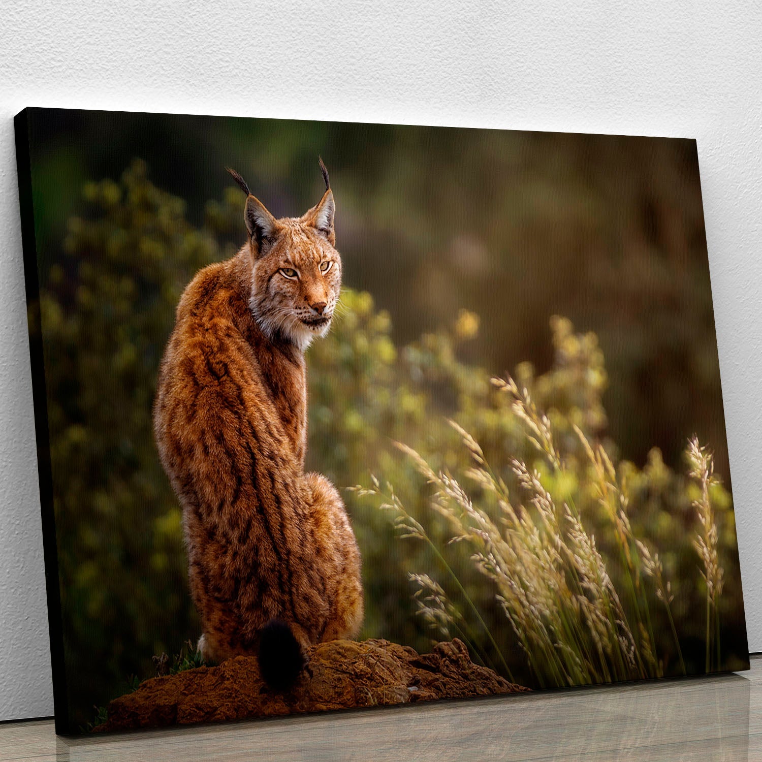 Lynx Fine Art Canvas Print showcasing vibrant colors and intricate details, perfect for home decor.
