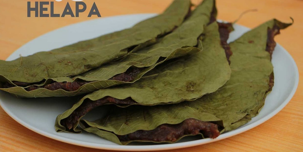 Dried Macaranga Peltata leaves, showcasing their vibrant green color and unique texture, ideal for culinary and industrial uses.