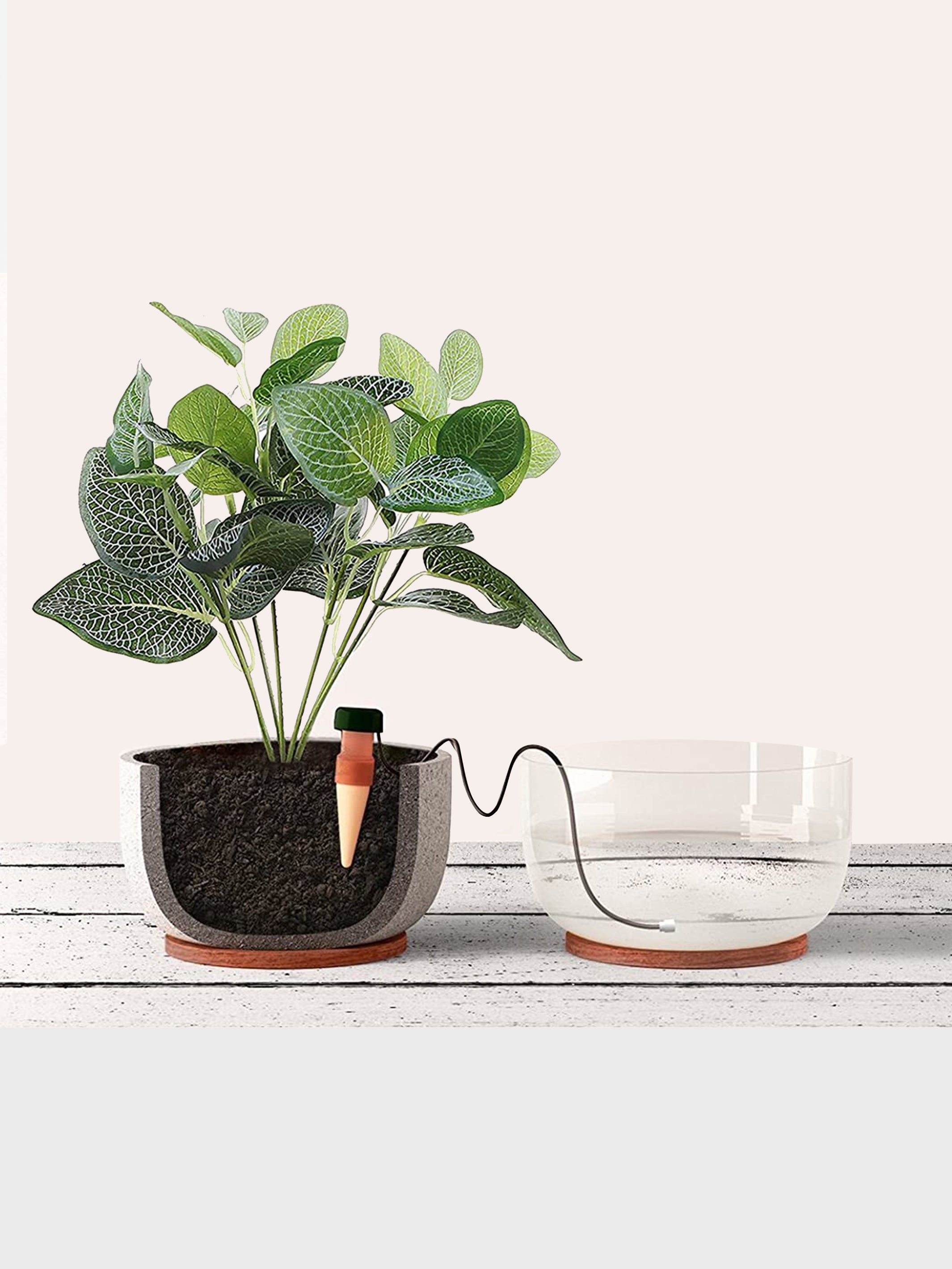 Macetas de arcilla con dispensador de riego automático, ideales para el cuidado de plantas.