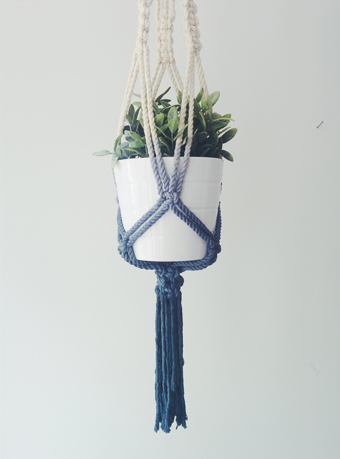 Handmade macrame plant hanger in dark blue, showcasing a stylish design with 100% cotton cord and stainless steel ring, perfect for indoor plants.
