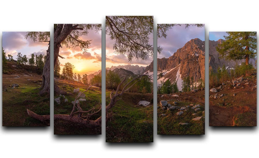 Magical Morning 5 Split Panel Canvas artwork featuring vibrant colors and dynamic design across five panels.