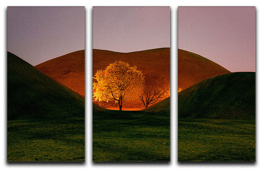 Magnolia 3 Split Panel Canvas Print featuring elegant floral design on three canvases, perfect for home decor.