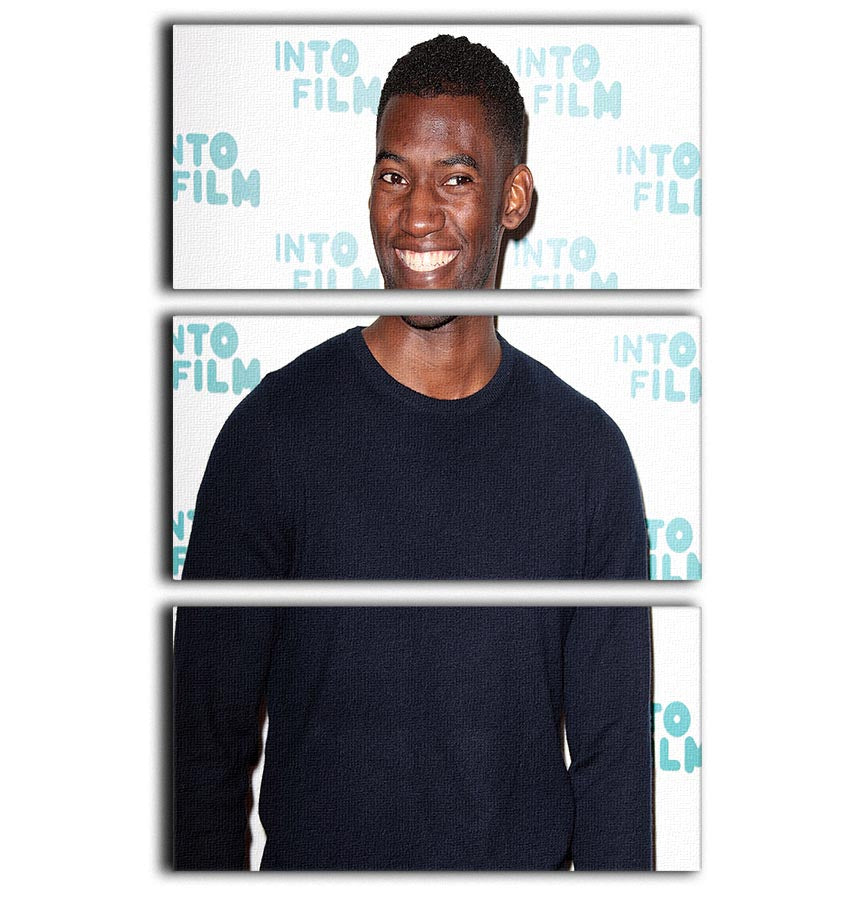 Malachi Kirby 3 Split Panel Canvas Print showcasing vibrant colors and elegant design, perfect for enhancing any room decor.