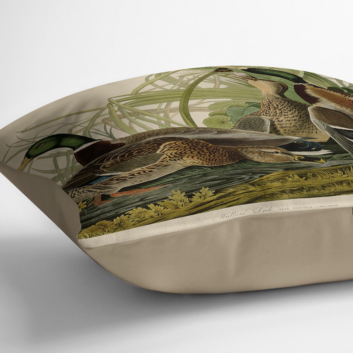 Mallard Duck by Audubon Cushion featuring vibrant colors and luxurious vegan faux suede material, perfect for home decor.