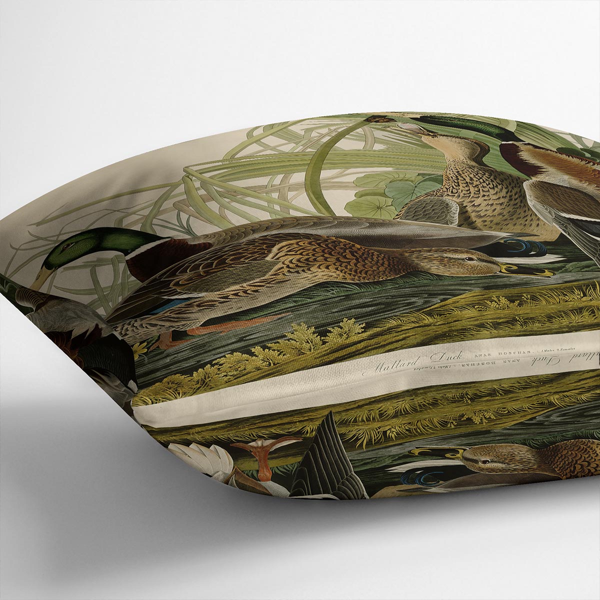Mallard Duck by Audubon Cushion featuring vibrant colors and luxurious vegan faux suede material, perfect for home decor.