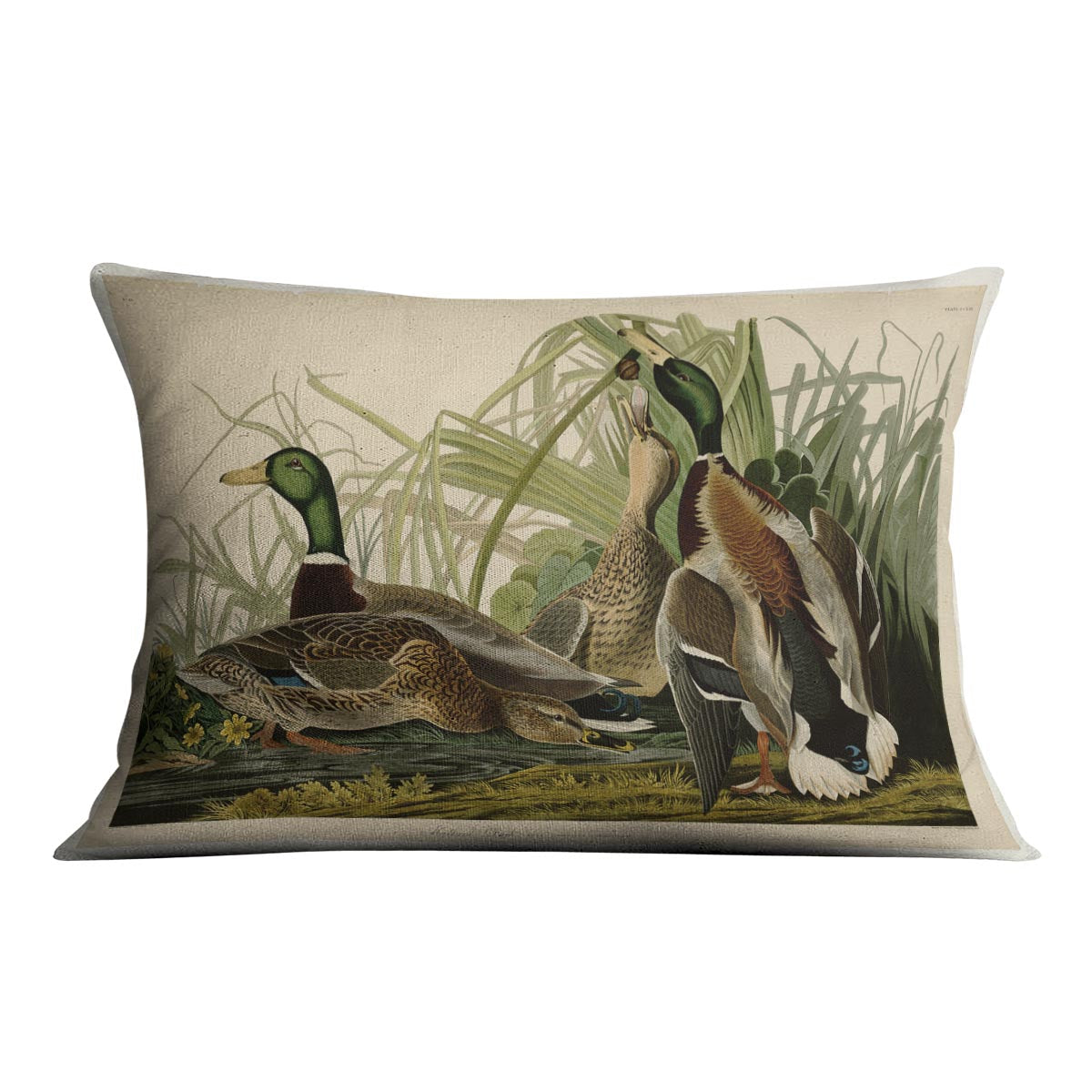 Mallard Duck by Audubon Cushion featuring vibrant colors and luxurious vegan faux suede material, perfect for home decor.