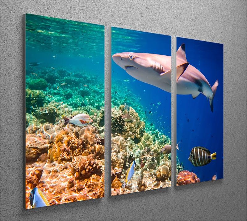 A stunning 3-panel canvas print depicting the vibrant coral reef of the Maldives Indian Ocean, showcasing rich colors and intricate details.