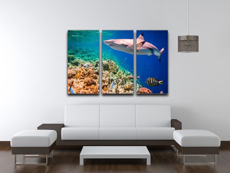 A stunning 3-panel canvas print depicting the vibrant coral reef of the Maldives Indian Ocean, showcasing rich colors and intricate details.