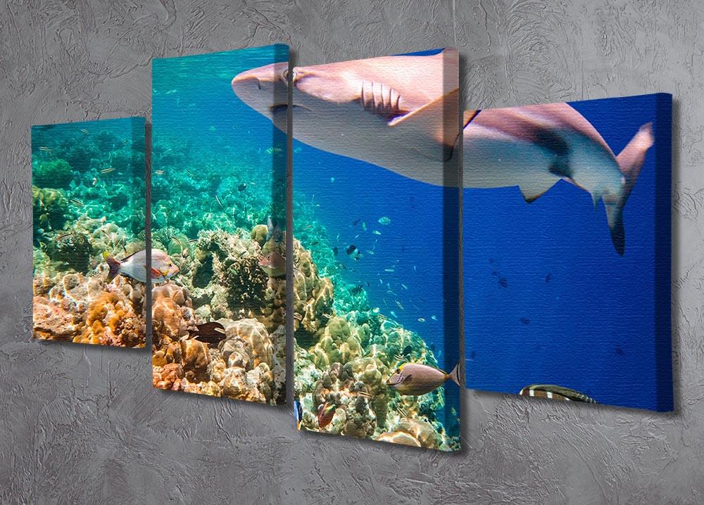 A vibrant 4 split panel canvas artwork depicting a coral reef in the Maldives Indian Ocean, showcasing colorful marine life and underwater scenery.
