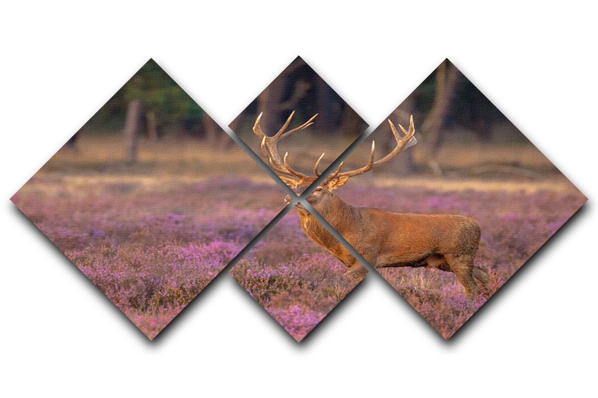 A vibrant 4-square canvas artwork featuring a male red deer with antlers during mating season, showcasing its majestic beauty.