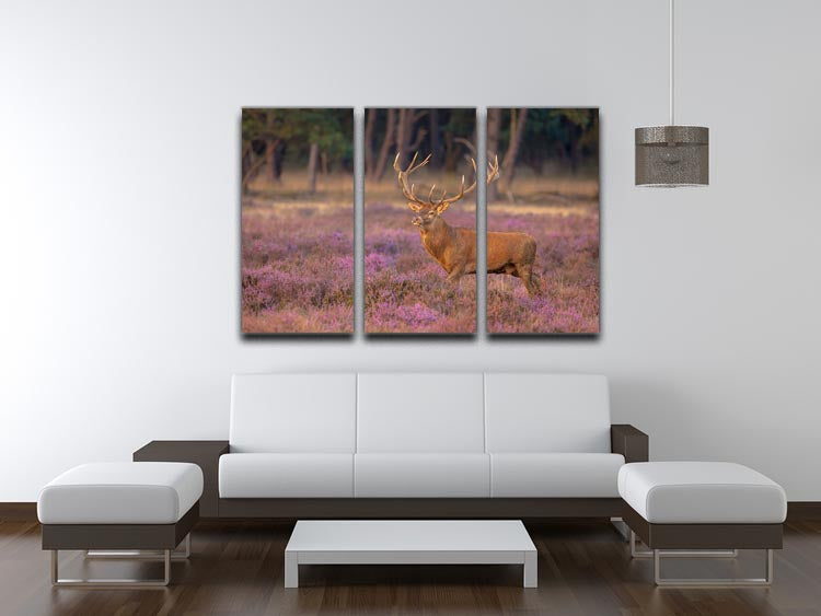 A stunning 3-panel canvas art featuring a male red deer with impressive antlers during mating season, showcasing vibrant colors and intricate details.
