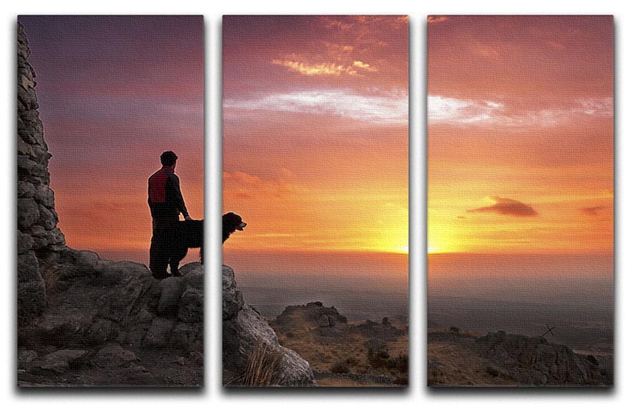 A beautiful 3-panel canvas print featuring a man and his faithful companion, showcasing vibrant colors and intricate details.