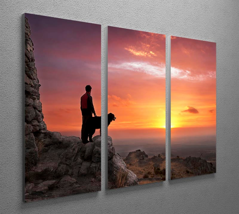 A beautiful 3-panel canvas print featuring a man and his faithful companion, showcasing vibrant colors and intricate details.