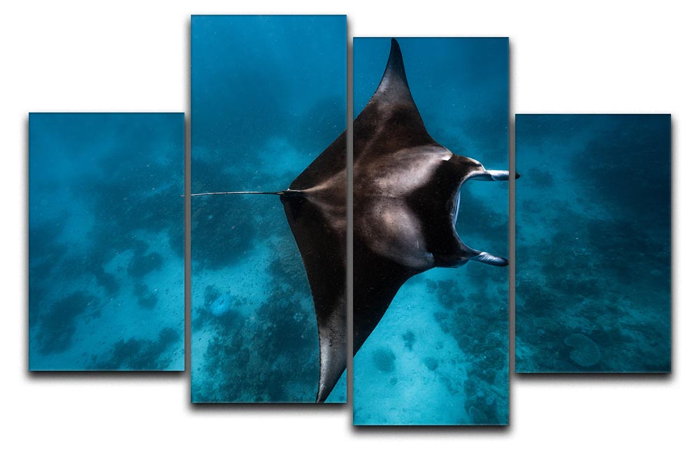 Manta Fly 4 Split Panel Canvas artwork displayed in a modern living room setting, showcasing vibrant colors and dynamic design.