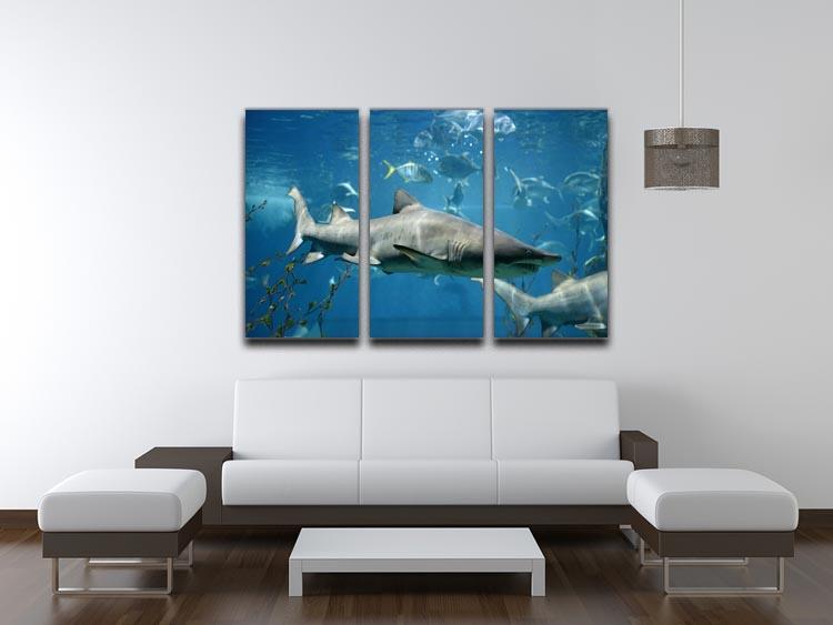 Marine fish underwater scene depicted in a stunning 3-panel canvas print, showcasing vibrant colors and intricate details.