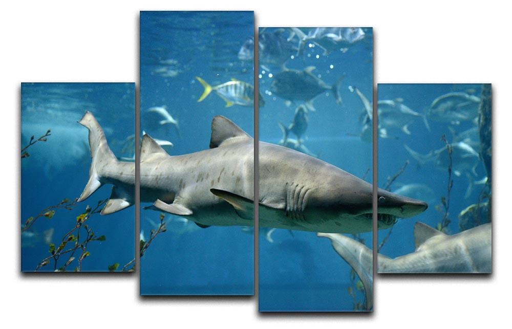 A vibrant 4-panel canvas artwork depicting marine fish underwater, showcasing colorful aquatic life in a dynamic arrangement.