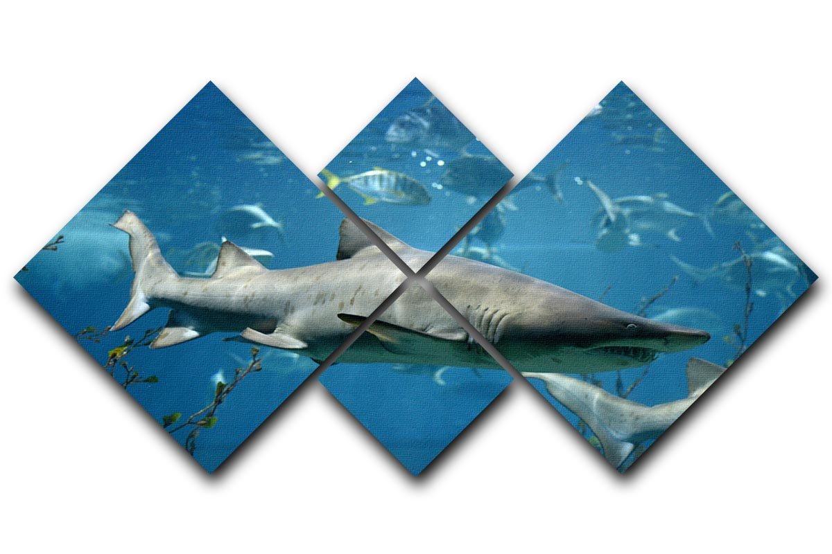 A vibrant 4-panel canvas artwork featuring marine fish underwater, showcasing colorful aquatic life in a harmonious arrangement.