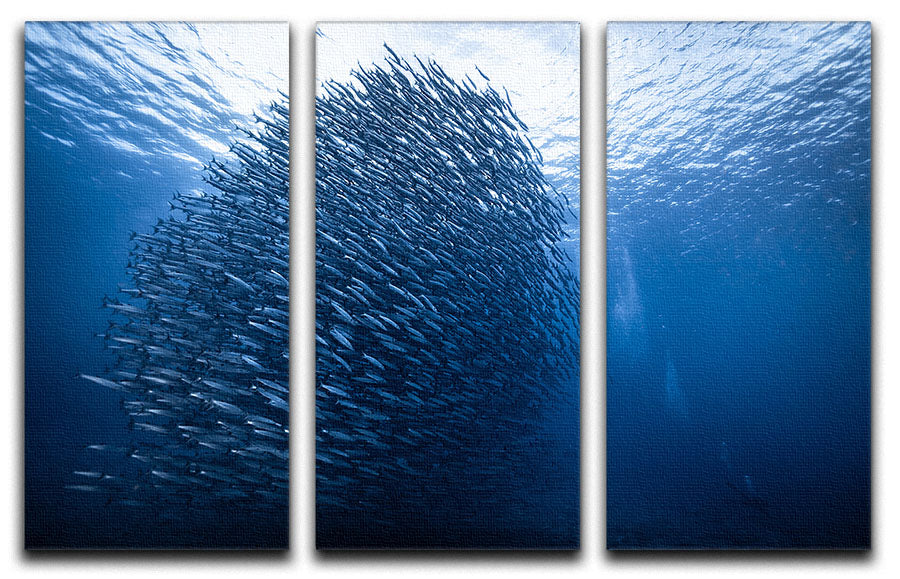 Mass Giant 3 Split Panel Canvas Print featuring three high-quality panels with vibrant artwork, perfect for home or office decor.