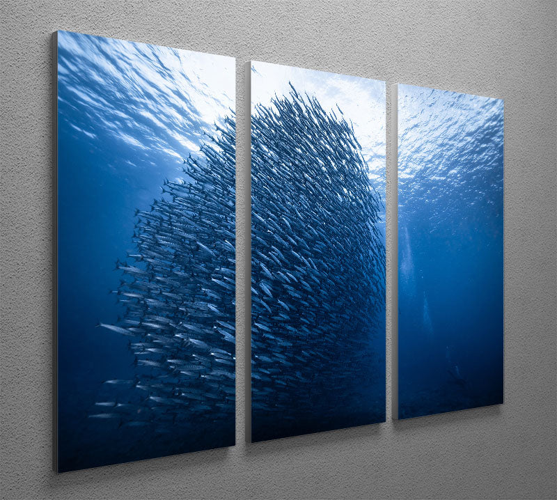 Mass Giant 3 Split Panel Canvas Print featuring three high-quality panels with vibrant artwork, perfect for home or office decor.