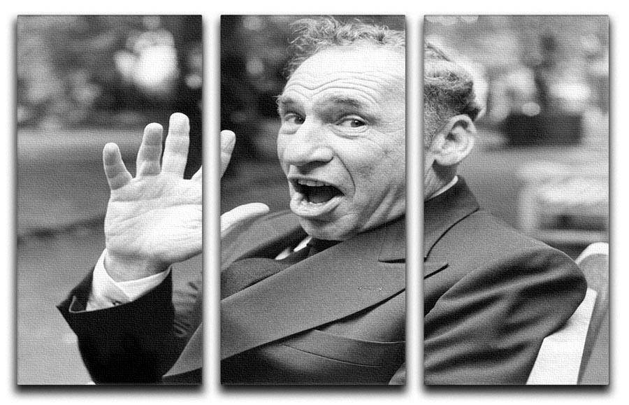 Mel Brooks 3 Split Panel Canvas Print featuring vibrant colors and captivating design, perfect for enhancing any living space.