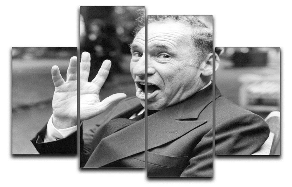 Mel Brooks 4 Split Panel Canvas artwork featuring four equal sections that create a cohesive image when hung together.