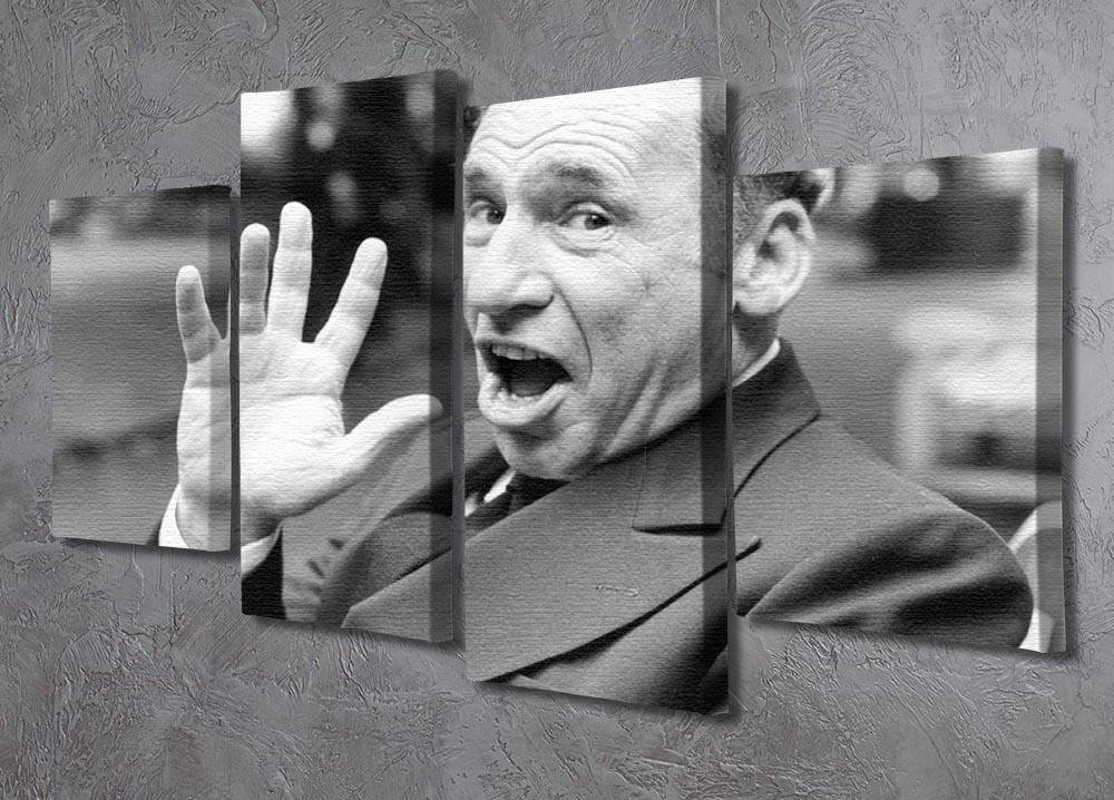 Mel Brooks 4 Split Panel Canvas artwork featuring four equal sections that create a cohesive image when hung together.