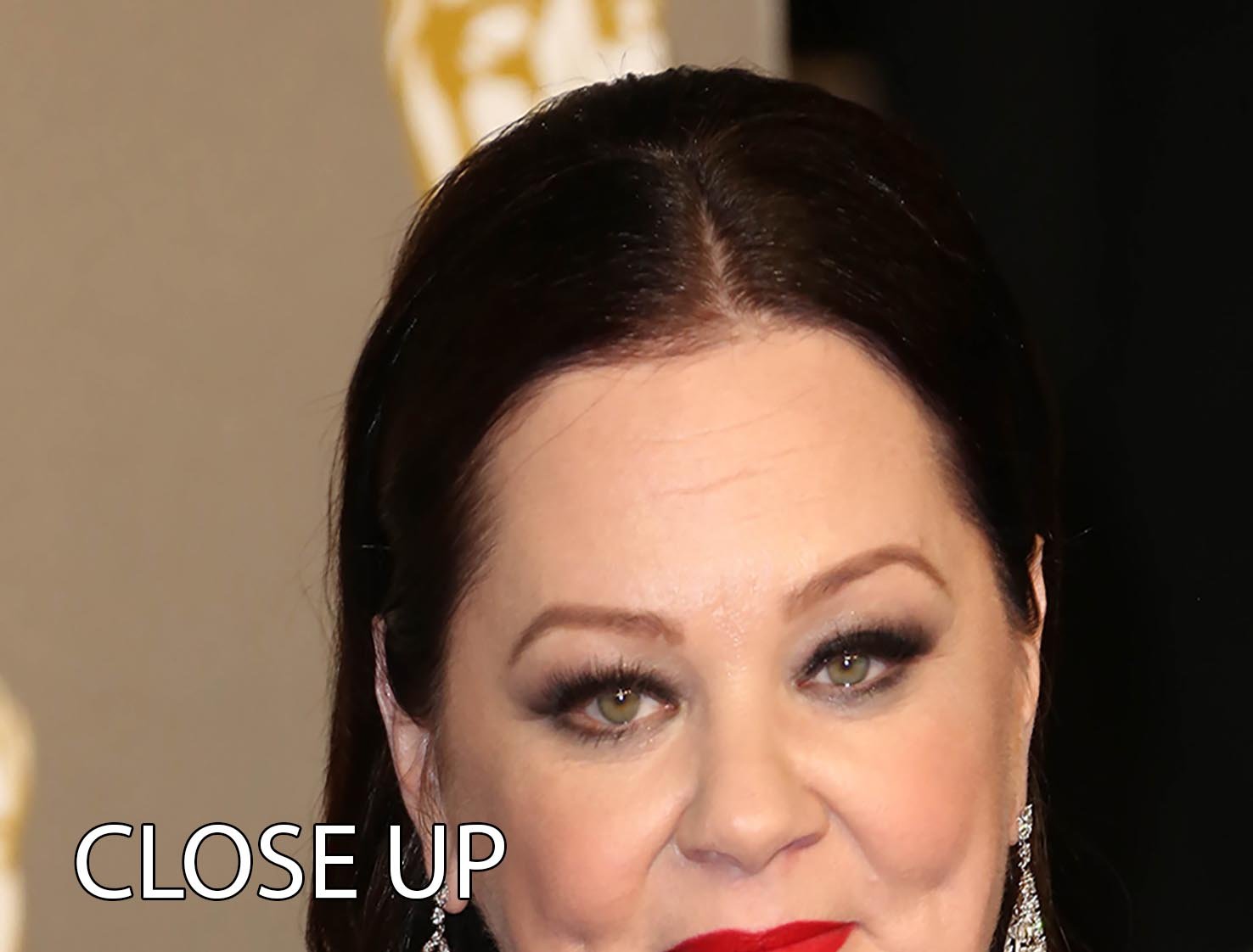 Melissa McCarthy 3 Split Panel Canvas Print featuring vibrant colors and elegant design, perfect for home or office decor.