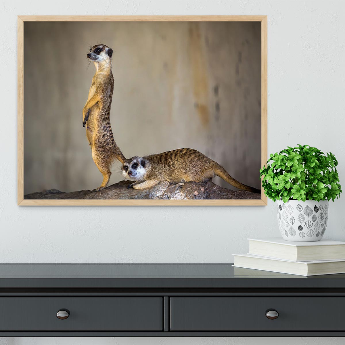 A beautifully framed print of a meer kat lifeguard stand, showcasing vibrant colors and high-quality craftsmanship.