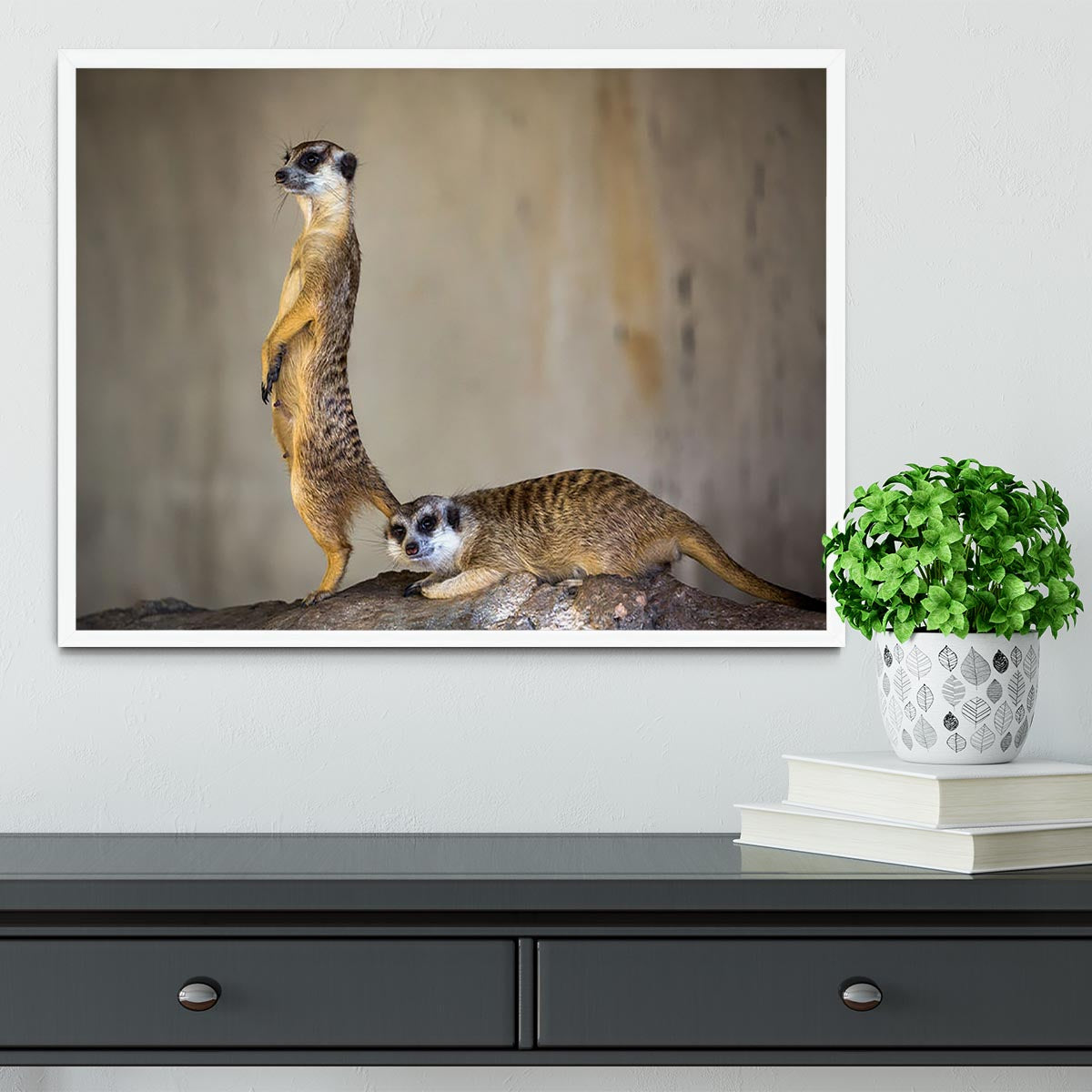 A beautifully framed print of a meer kat lifeguard stand, showcasing vibrant colors and high-quality craftsmanship.