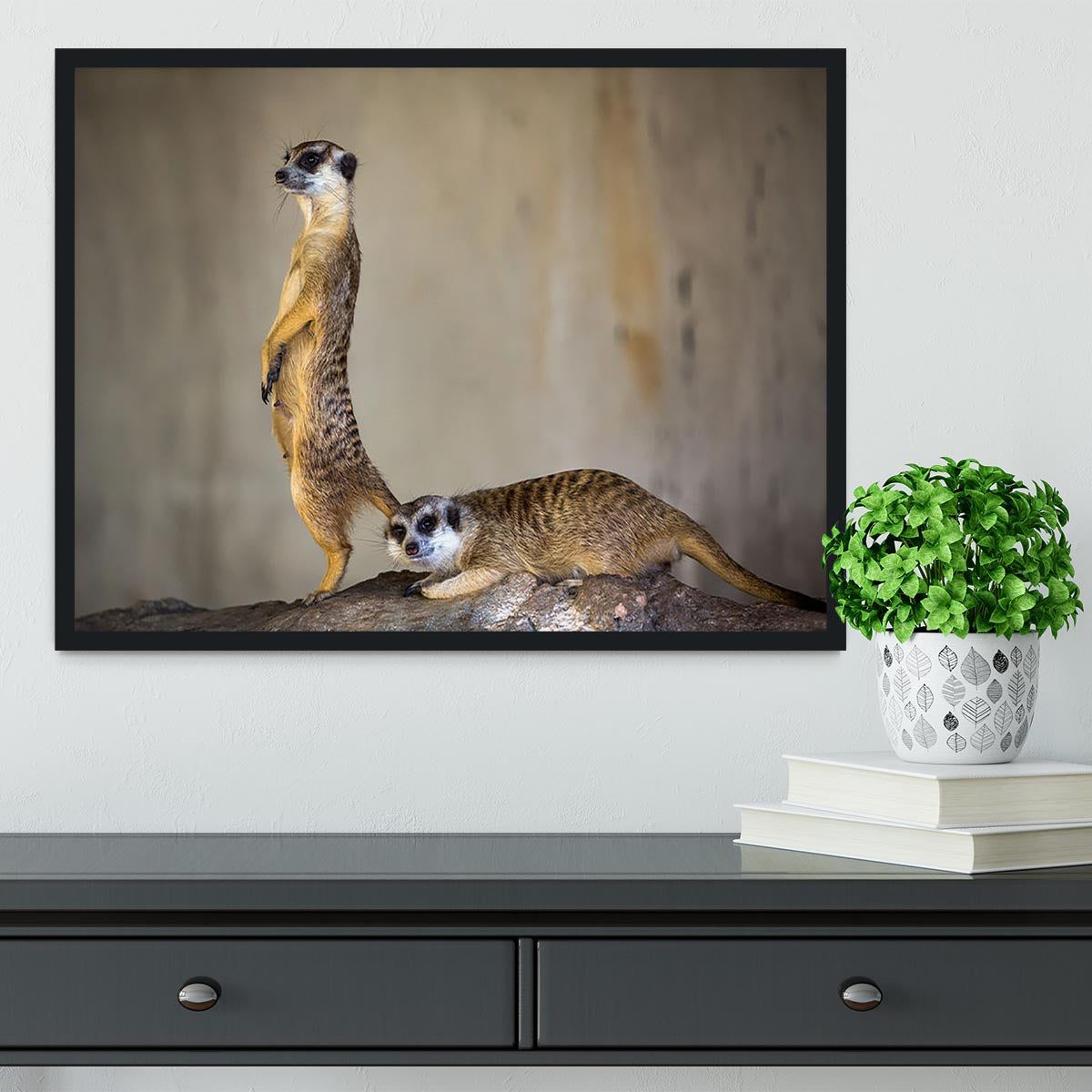 A beautifully framed print of a meer kat lifeguard stand, showcasing vibrant colors and high-quality craftsmanship.