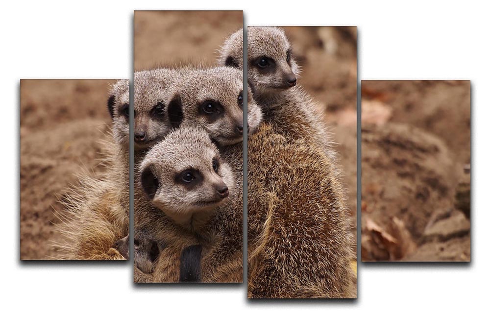 A beautiful 4-split canvas artwork featuring a meerkat family, showcasing their playful nature and vibrant colors.