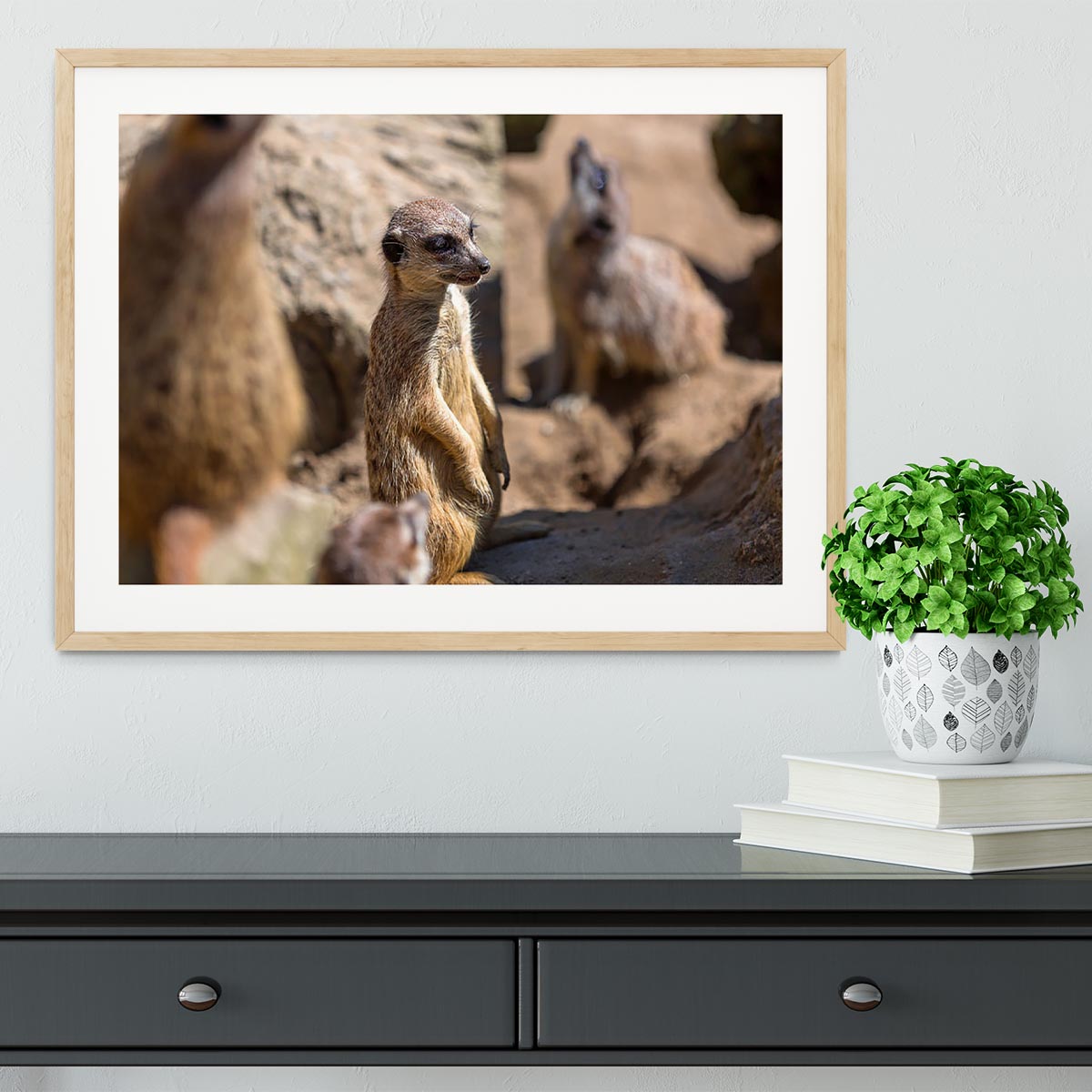 Framed print of Meerkats in the wild, showcasing vibrant colors and intricate details in a handmade frame.