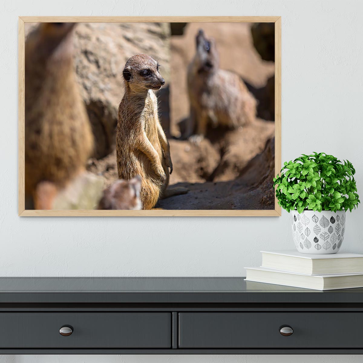 Framed print of Meerkats in the wild, showcasing vibrant colors and intricate details in a handmade frame.