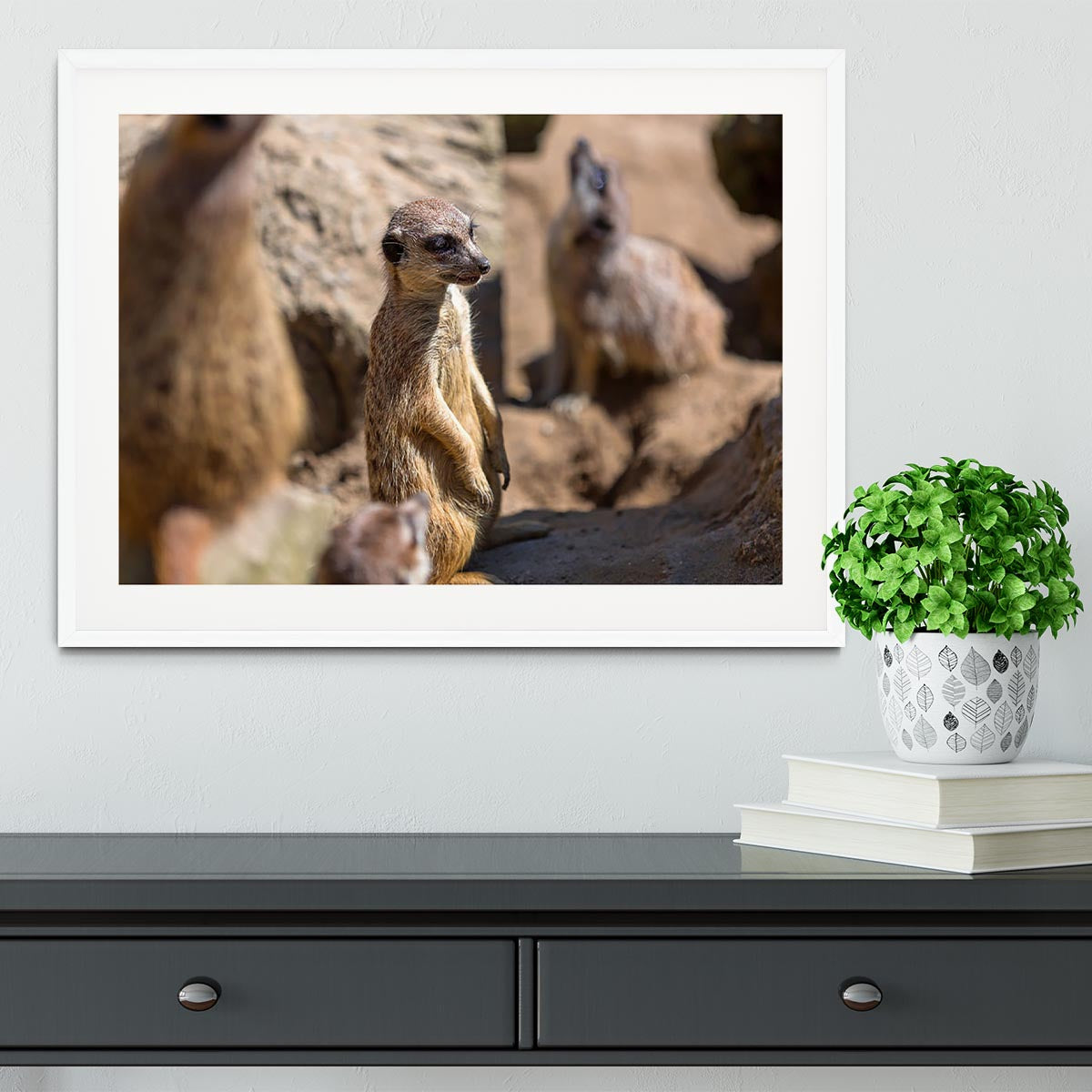 Framed print of Meerkats in the wild, showcasing vibrant colors and intricate details in a handmade frame.