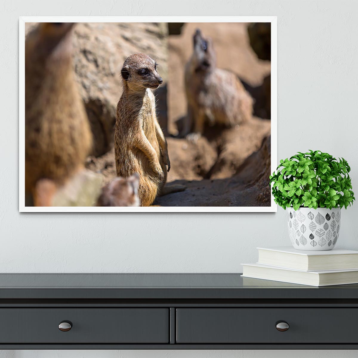 Framed print of Meerkats in the wild, showcasing vibrant colors and intricate details in a handmade frame.