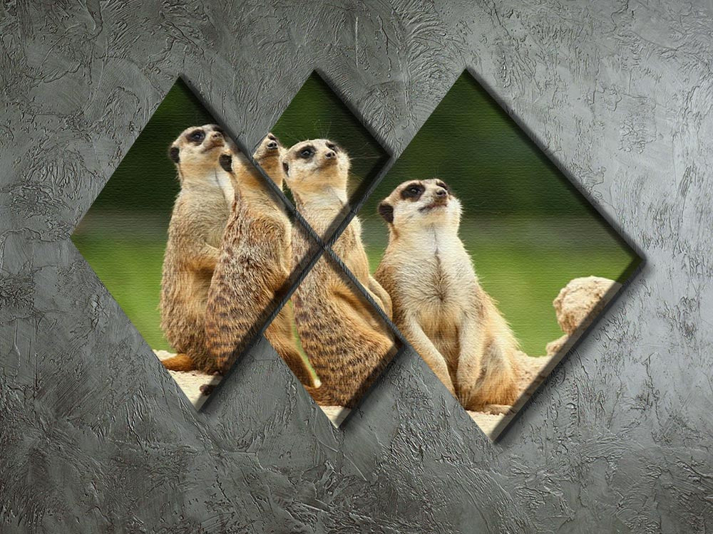 A vibrant 4-square canvas artwork featuring adorable meerkats, each panel showcasing a different aspect of their playful nature.