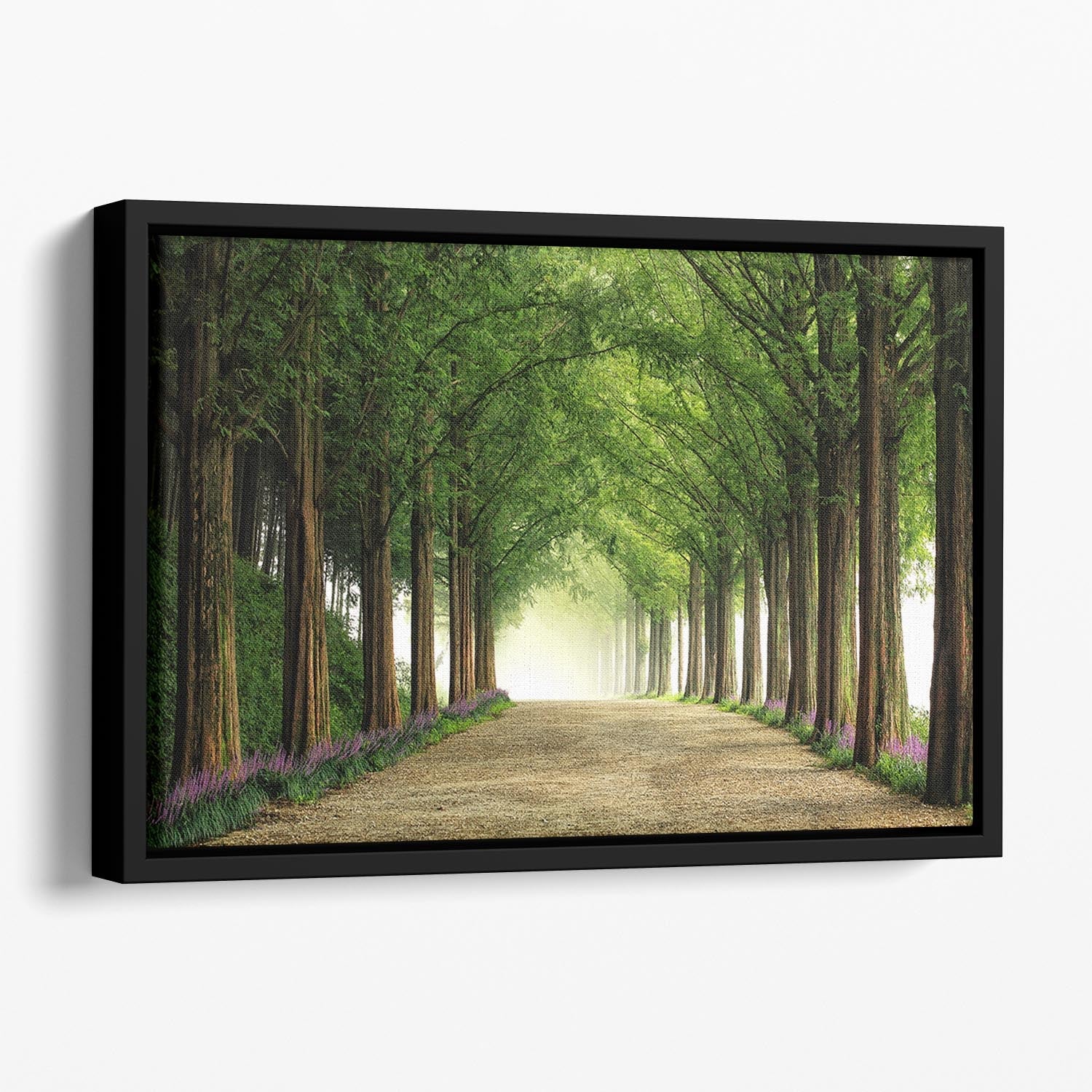 Metasequoia Road Floating Framed Canvas featuring vibrant abstract colors in an elegant wooden frame, perfect for modern home decor.