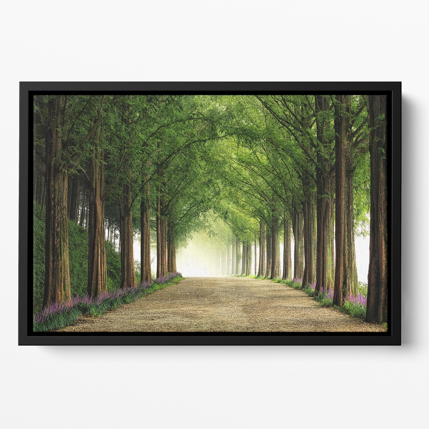 Metasequoia Road Floating Framed Canvas featuring vibrant abstract colors in an elegant wooden frame, perfect for modern home decor.