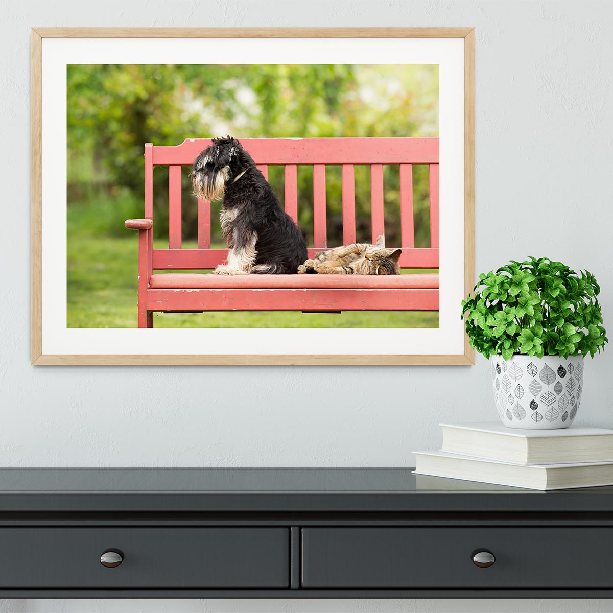 Framed print of a Miniature Schnauzer and its cat friend, showcasing their bond in a stylish frame.
