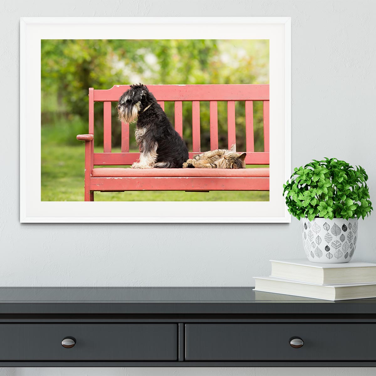 Framed print of a Miniature Schnauzer and its cat friend, showcasing their bond in a stylish frame.