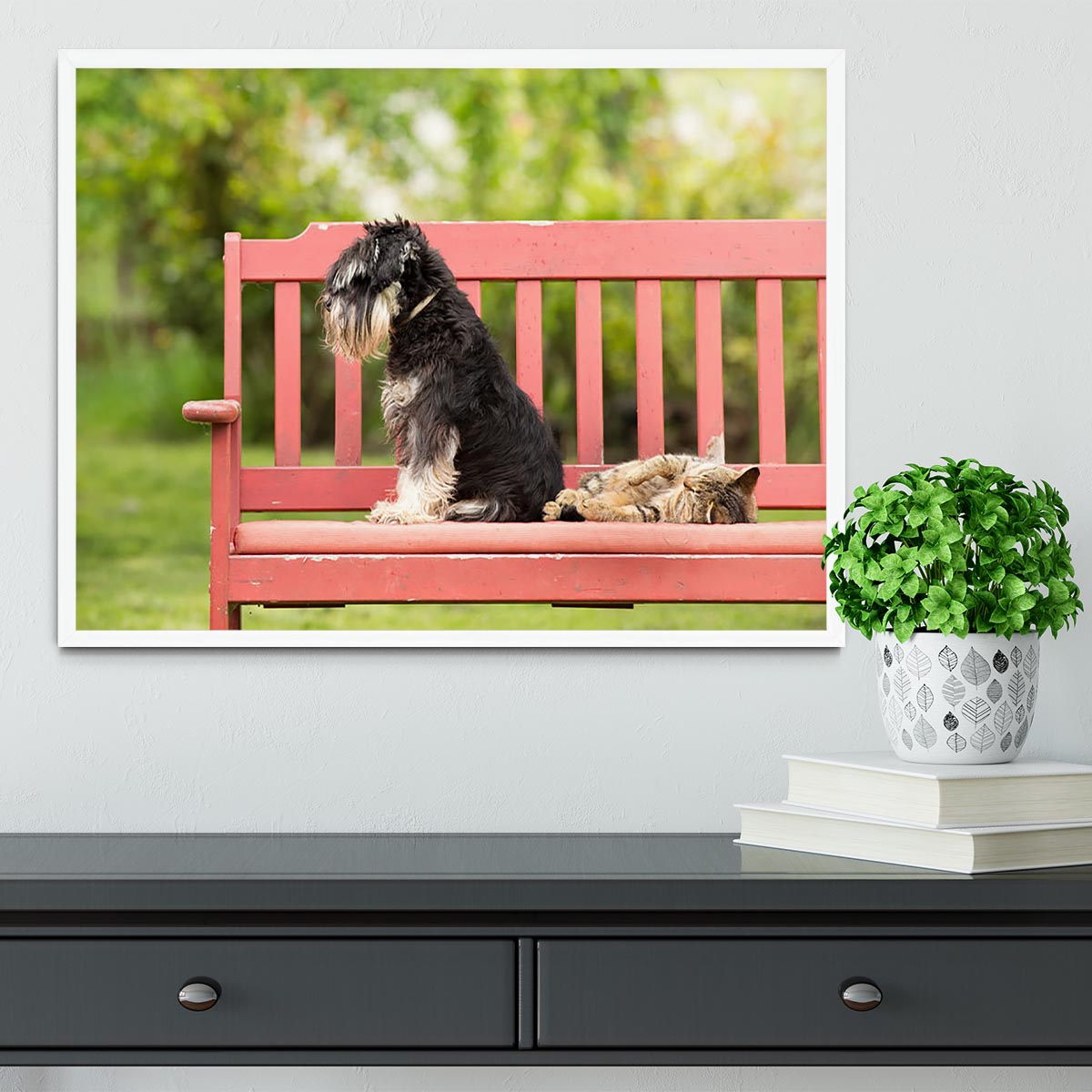 Framed print of a Miniature Schnauzer and its cat friend, showcasing their bond in a stylish frame.