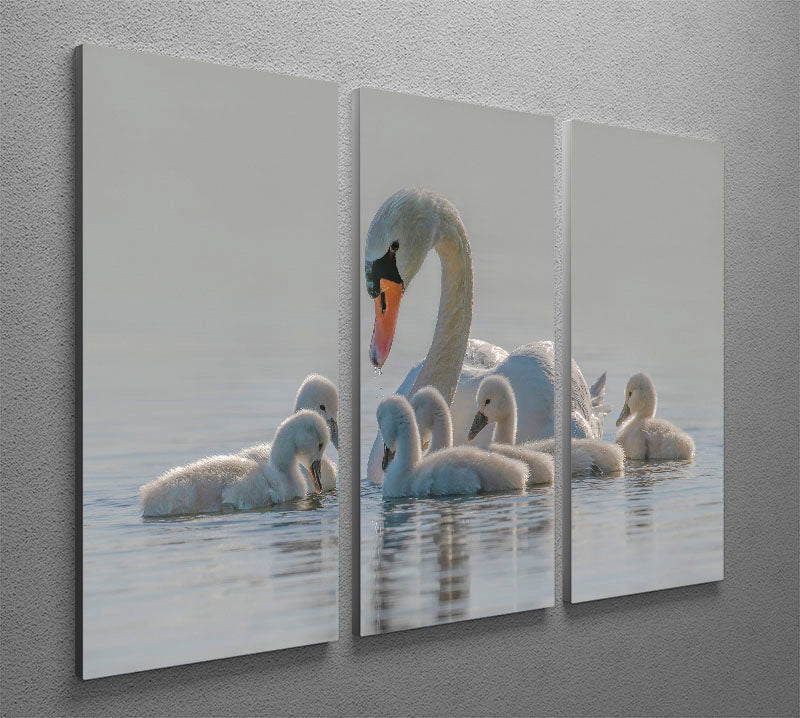 A beautiful 3-panel canvas print showcasing a heartwarming design celebrating motherhood, perfect for home decor.