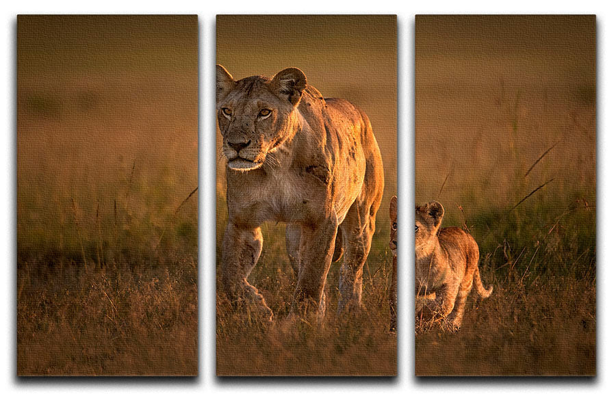 A beautiful 3-panel canvas print featuring a mom lioness with her cub, showcasing their bond in a stunning nature scene.