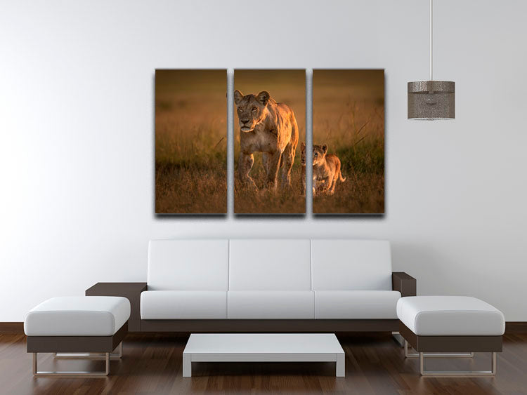 A beautiful 3-panel canvas print featuring a mom lioness with her cub, showcasing their bond in a stunning nature scene.